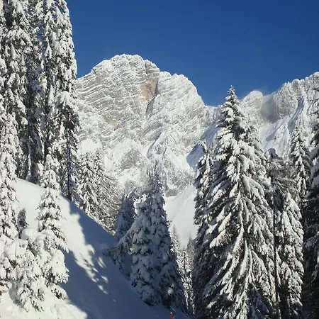 Guest house Bergerhof